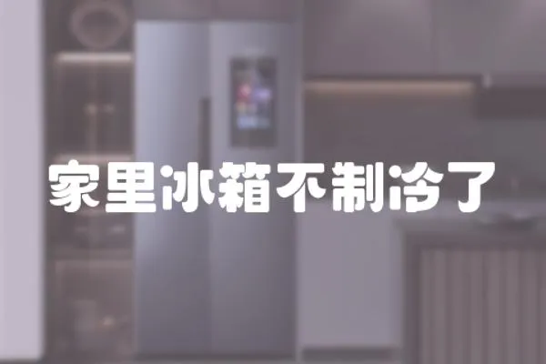 家里冰箱不制冷了