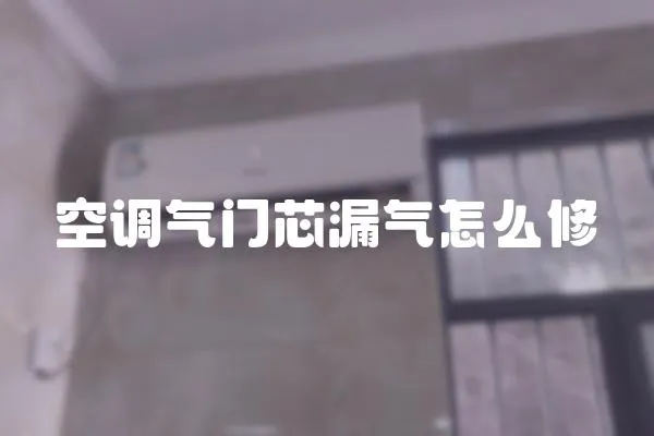 空調氣門芯漏氣怎么修