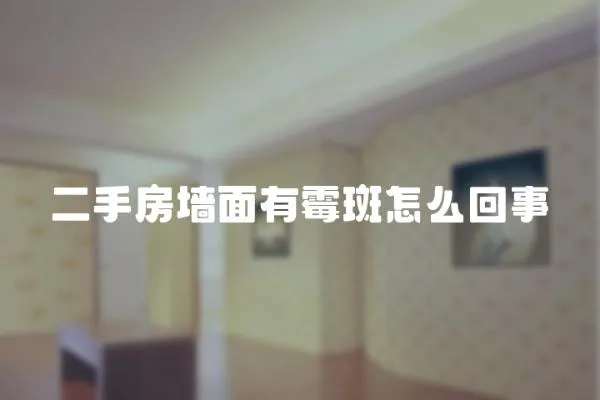 二手房墻面有霉斑怎么回事