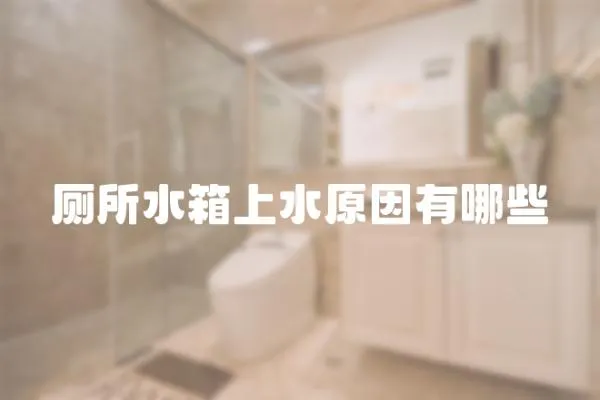 廁所水箱上水原因有哪些