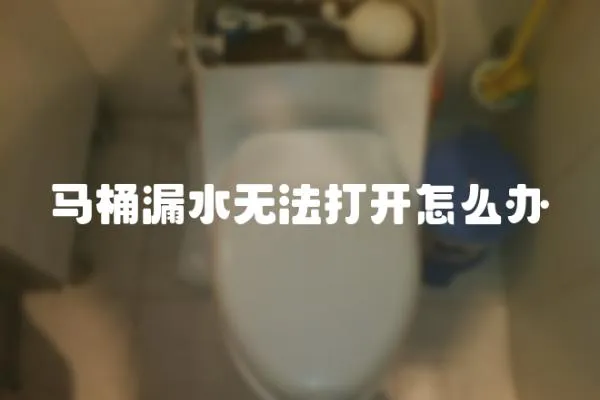 馬桶漏水無法打開怎么辦