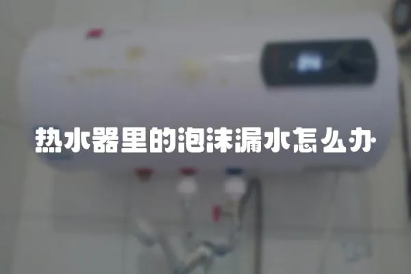 熱水器里的泡沫漏水怎么辦