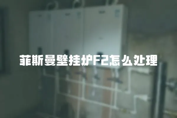 菲斯曼壁掛爐F2怎么處理