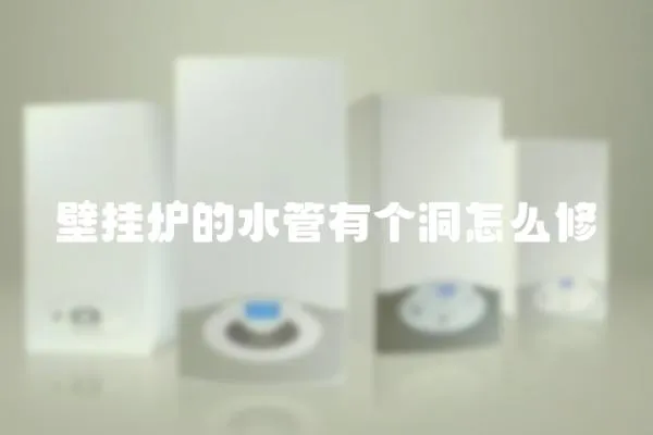 壁掛爐的水管有個洞怎么修