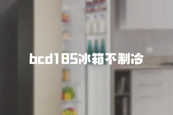 bcd185冰箱不制冷