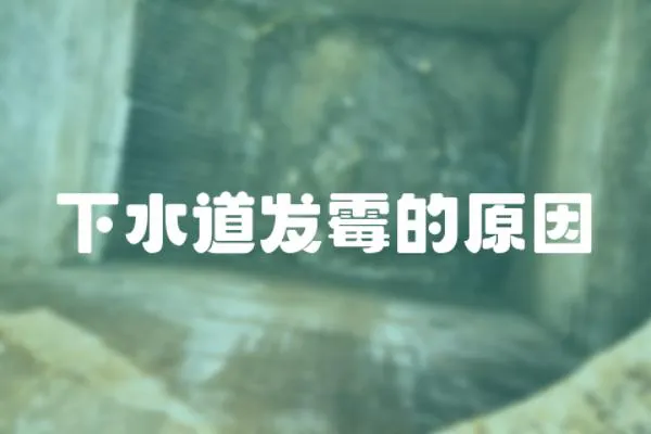 下水道發(fā)霉的原因