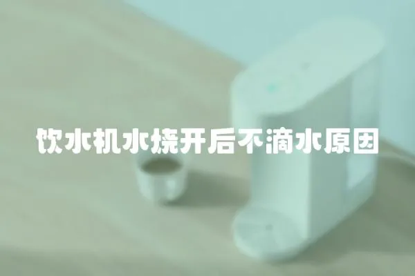 飲水機水燒開后不滴水原因