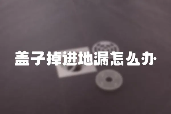 蓋子掉進(jìn)地漏怎么辦