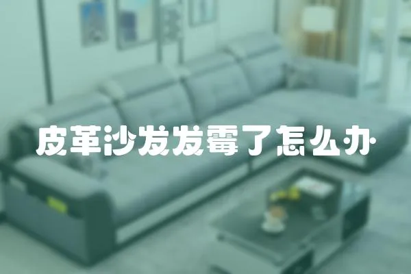 皮革沙發發霉了怎么辦