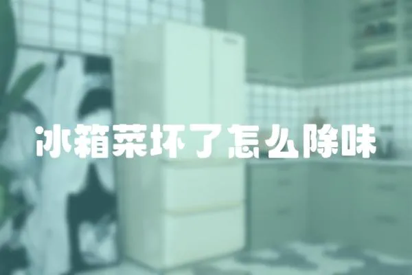 冰箱菜壞了怎么除味