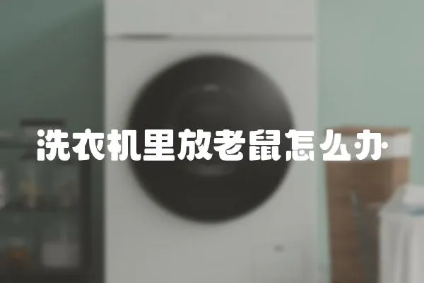 洗衣機里放老鼠怎么辦