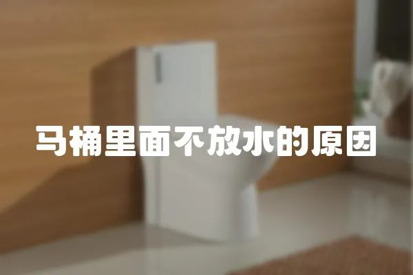 馬桶里面不放水的原因