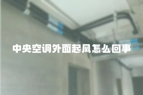 中央空調(diào)外面起風(fēng)怎么回事