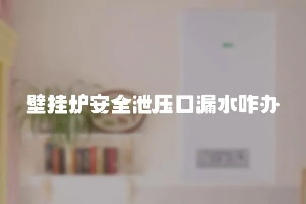 壁掛爐安全泄壓口漏水咋辦