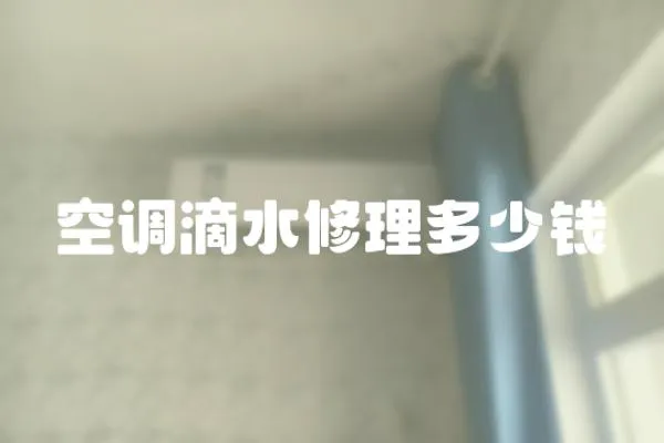 空調(diào)滴水修理多少錢