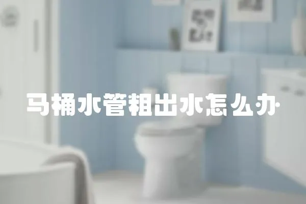 馬桶水管粗出水怎么辦