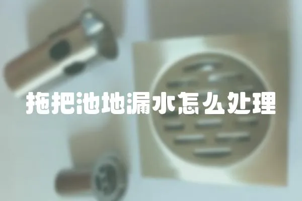 拖把池地漏水怎么處理