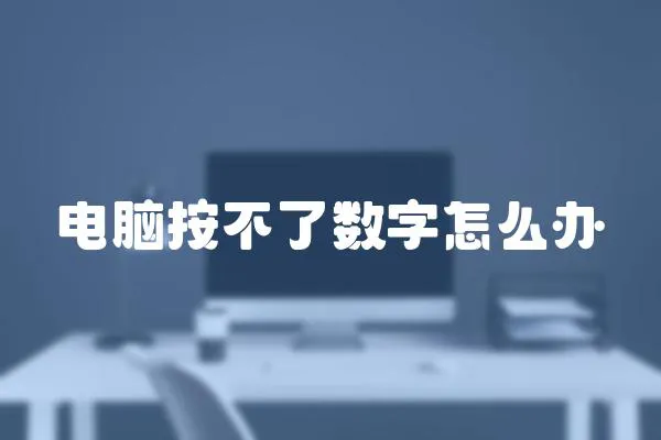 電腦按不了數(shù)字怎么辦