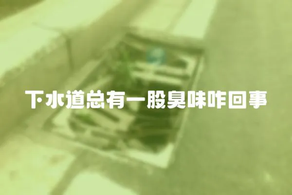 下水道總有一股臭味咋回事