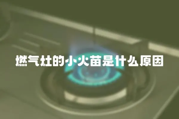 燃氣灶的小火苗是什么原因