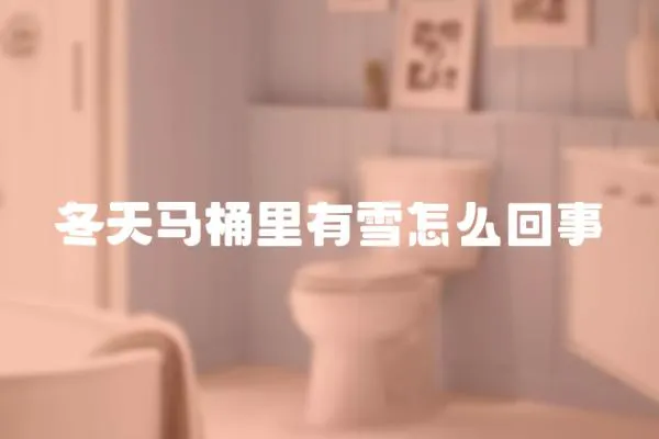 冬天馬桶里有雪怎么回事