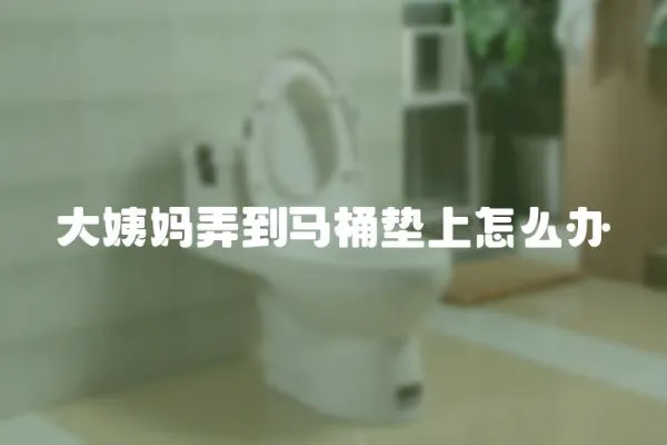 大姨媽弄到馬桶墊上怎么辦