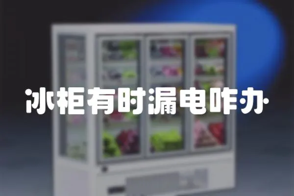冰柜有時漏電咋辦