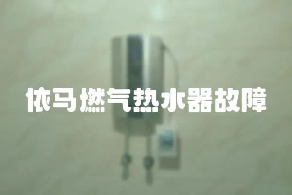 依馬燃?xì)鉄崴鞴收? loading=