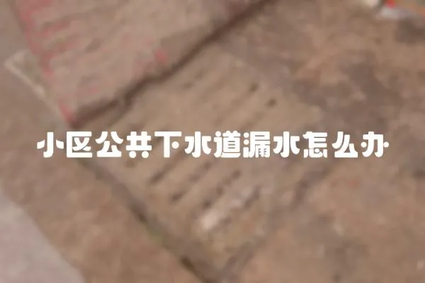 小區(qū)公共下水道漏水怎么辦