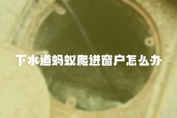 下水道螞蟻爬進窗戶怎么辦