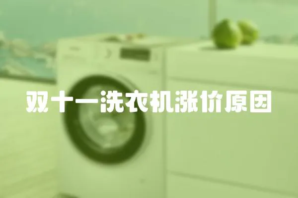 雙十一洗衣機漲價原因