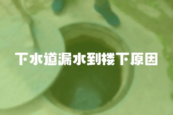 下水道漏水到樓下原因