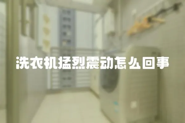 洗衣機猛烈震動怎么回事