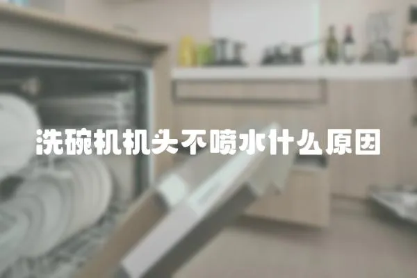 洗碗機機頭不噴水什么原因