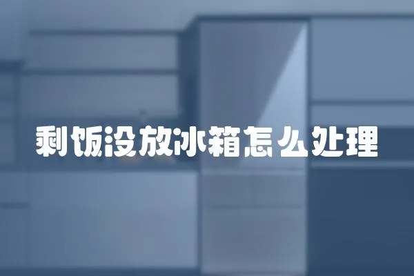 剩飯沒放冰箱怎么處理