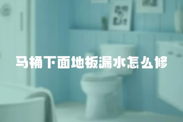 馬桶下面地板漏水怎么修