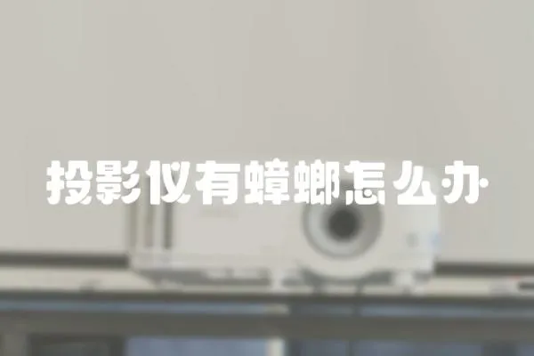 投影儀有蟑螂怎么辦