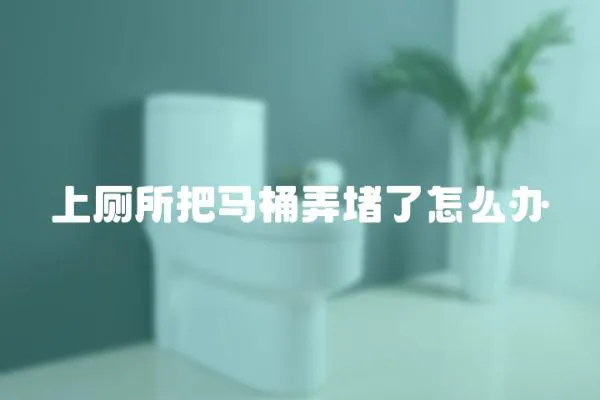 上厕所把马桶弄堵了怎么办