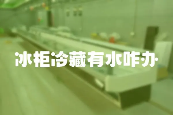 冰柜冷藏有水咋辦
