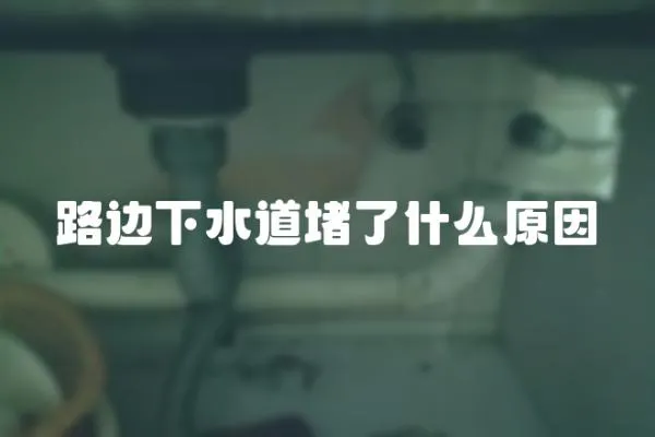 路邊下水道堵了什么原因