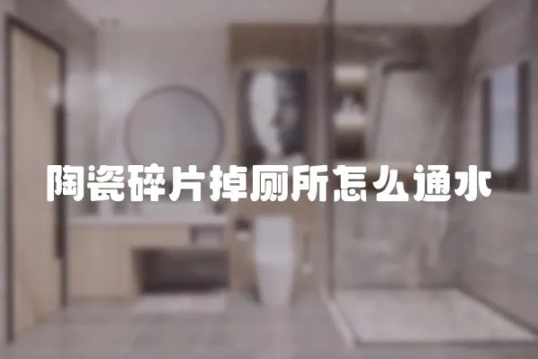 陶瓷碎片掉廁所怎么通水