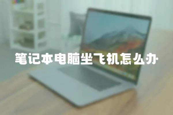 筆記本電腦坐飛機怎么辦