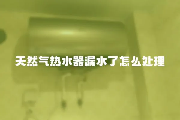 天然氣熱水器漏水了怎么處理