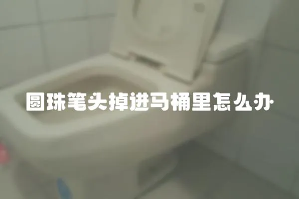 圓珠筆頭掉進馬桶里怎么辦