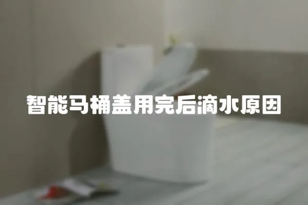 智能馬桶蓋用完后滴水原因