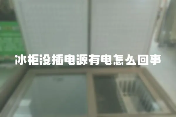 冰柜沒插電源有電怎么回事