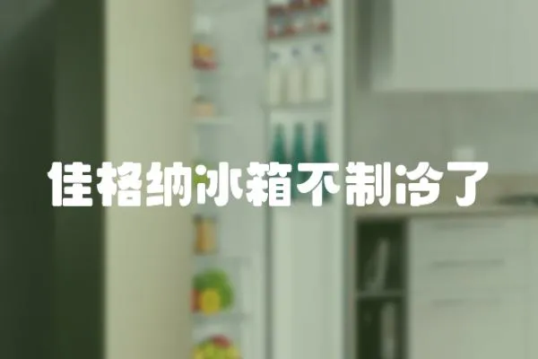 佳格納冰箱不制冷了