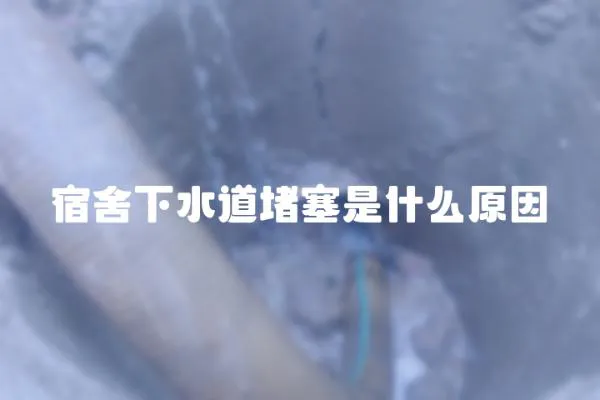 宿舍下水道堵塞是什么原因