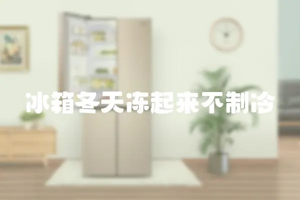 冰箱冬天凍起來不制冷