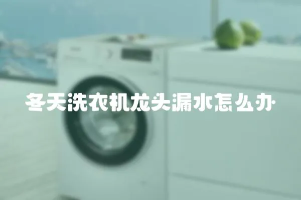 冬天洗衣機龍頭漏水怎么辦